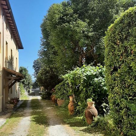 Antica Fattoria La Verdina Camaiore Zewnętrze zdjęcie