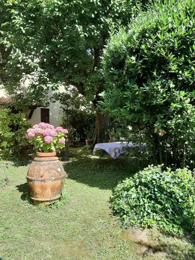 Antica Fattoria La Verdina Camaiore Zewnętrze zdjęcie