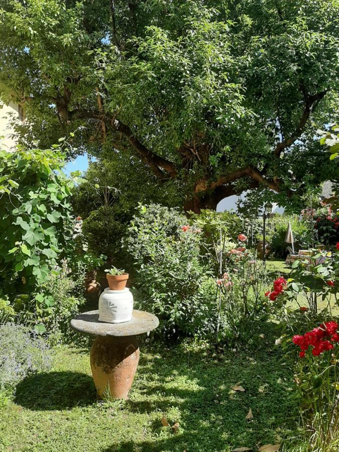 Antica Fattoria La Verdina Camaiore Zewnętrze zdjęcie